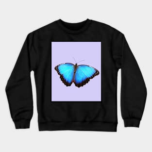 Aesthetic butterfly art Crewneck Sweatshirt